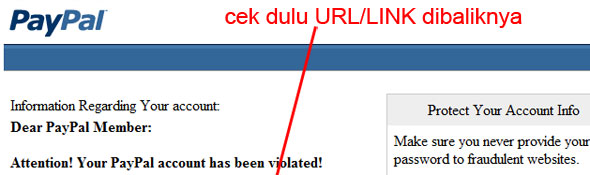 paypal_palsu1_small.jpg