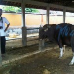Agus Didi Purwadi dan Hewan Qurban