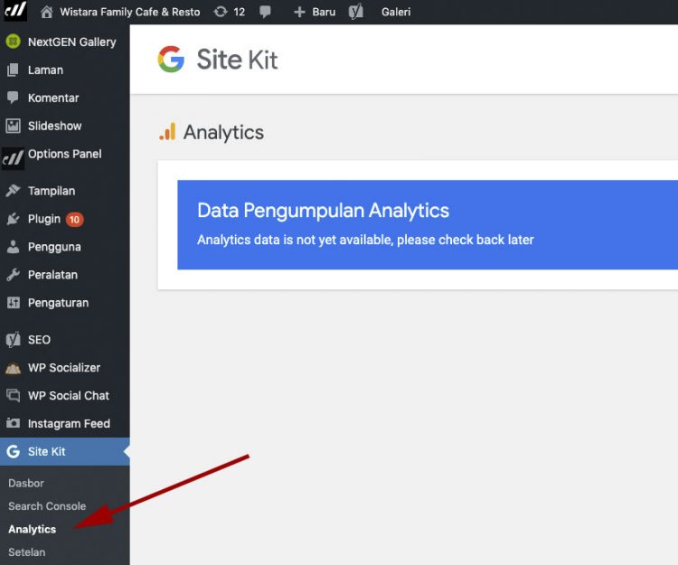 Cara pasang instal Google Analytics di wordpress